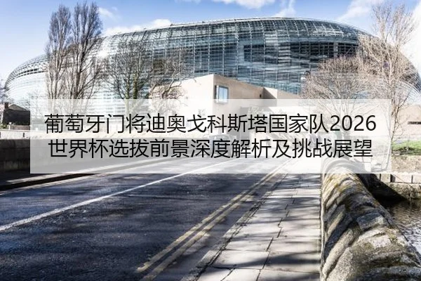 葡萄牙门将迪奥戈科斯塔国家队2026世界杯选拔前景深度解析及挑战展望